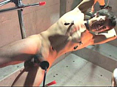bondage torture slavery slave beaten dungeon bdsm