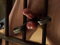 predicament bondage hook nose clamp