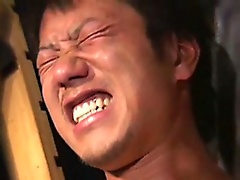 Preview Thumb