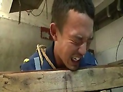 bondage torture slavery slave beaten dungeon bdsm