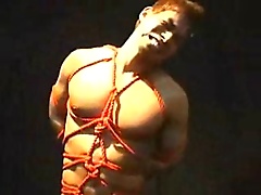 bondage haze slavery slave beaten dungeon bdsm